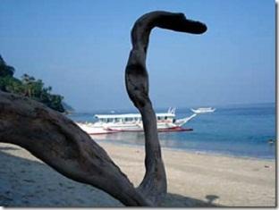 Rem'S Virgin Island Hotel Puerto Galera Εξωτερικό φωτογραφία